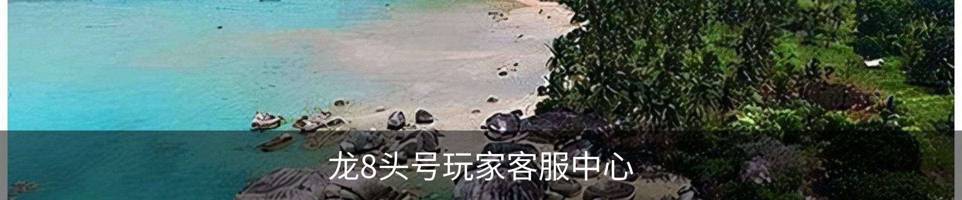 龙8头号玩家客服中心